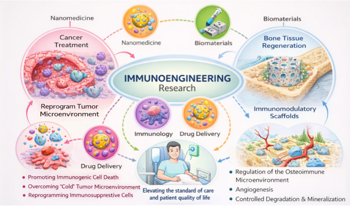 Immunoengineering research graphic showing how its being translated into medicine